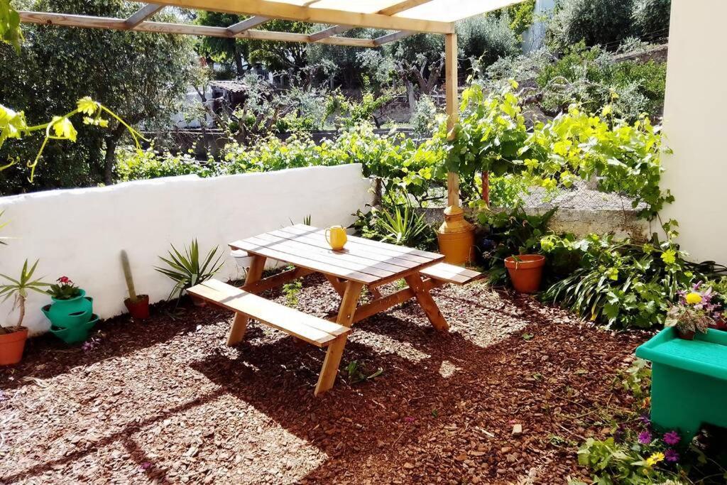 Villa Petal House à Beirã Extérieur photo